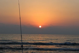 דיג מהחוף