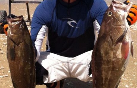 אופיר: סוף כל סוף יציאה לחודש יוני בדיג מקיאק