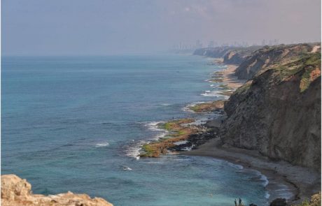 בר לנדי: “יש למישהו המלצות על מקומות שמז׳רז׳ר מתחיל צריך להתחיל בהן?”