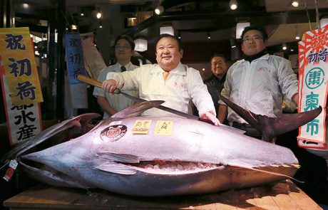 מסעדת סושי שילמה 632 אלף דולר עבור דג טונה כחול (כלכליסט)