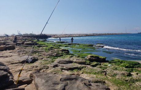 ערן יצחק: “כמה חבל ים כזה יפה ובלי דגים אשדוד חברת חשמל מלא דיגיים אבל בלי דגים”