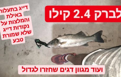 לברק ענק 2.4 קילו בתעלות באילת ? |איפה אפשר לדוג באילת ❓ועוד מגוון דגים ??