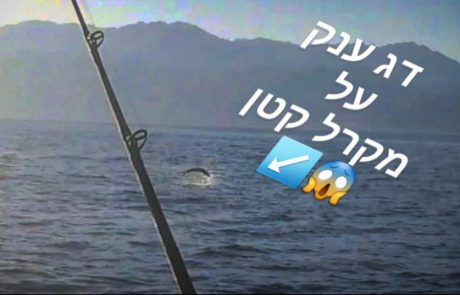 עידן מזרחי: “מה דג פתיון קטן יכול לתפוס ?אילת ? דייג ישראל 2021”