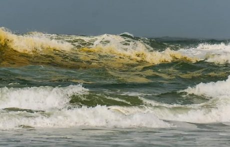 YNET – זיהום בחוף פלמחים: צבע המים הפך לצהוב-כתום