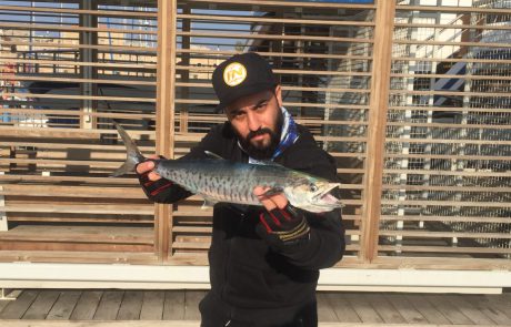 אמיר דהן / AMIR SG FISHING: “דיג ג׳יג מהחוף – פלמידה ביום חורפי”