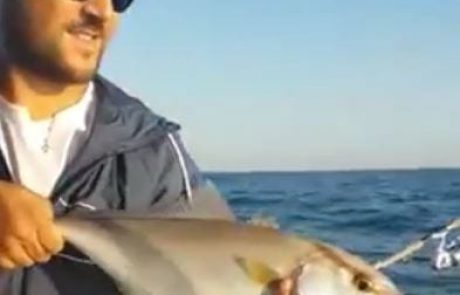 ערן גיא ואדיר דייגים ספורטיביים משחררים בייבי אינטיאס מתחת לגיל רבייה