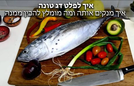 FishingAddicts: “איך לפלט דג טונה – דגתם או קניתם דג טונה? איך מנקים אותה ומה מומלץ להכין ממנה – המדריך המלא חלק א'”