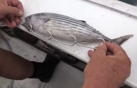 מדריך: איך לגרור דג בטרולינג ללא רתמה