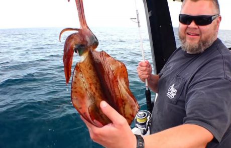 דיג קלמרי מהסירה – YouFishTV