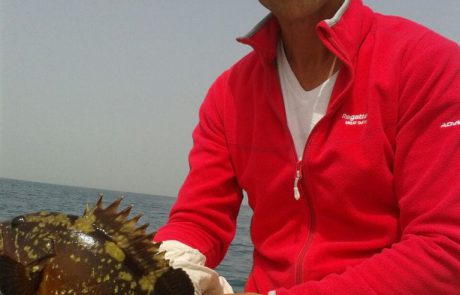 יוני אדום אדום – דייג ספורטיבי אמיתי משחרר לוקוס מתחת לגיל רבייה
