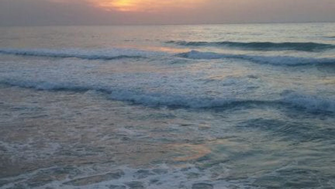 הרצליה: מייבאים חול מתורכיה להזנת חופי הים (mynet)