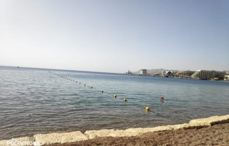 אילן צדוק: “איזה פיתיון תופסים בים באילת?”