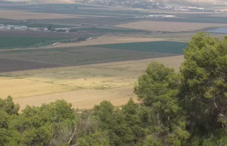 סרגיי: “בבקשה עדכנו את דייגי כינרת האם מותר להגיע לחוף לבד לדוג עם שמירת מרחק?”