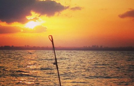 הסתיים איסור הדיג בים התיכון בתקופת הרבייה – 2018