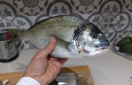 נחום לוי: “הדג הראשון הגדול שאני מוציא + בקשת המלצות וטיפים”