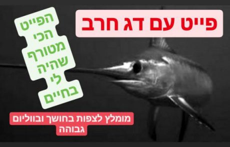 עידן מזרחי:” זה חרב ? פייט מהסרטים ? דייג בישראל | אילת 2021″