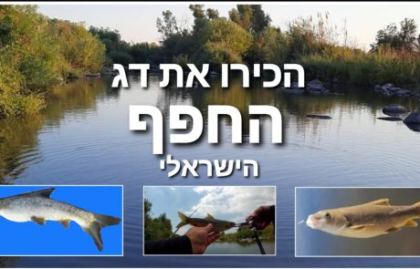 ליאור בן חיים: “הכירו את הדג:חפף ישראלי טיפים, הסברים וחגיגת דיג מטורפת”