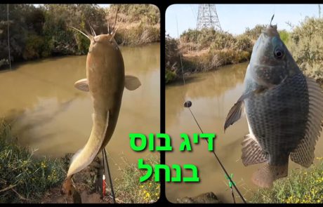 ליאור בן חיים: “דיג בוס עם בצק מסטיק”