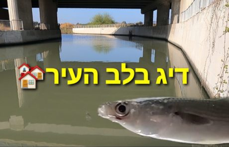 ליאור בן חיים: “דיג בלב העיר”