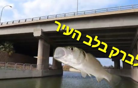 ליאור בן חיים: “לברק בלב העיר בזירזור וגם מופע קפיצות ועוד המון תפיסות”