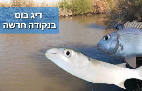 ליאור בן חיים: “דיג בוס בנקודה חדשה”