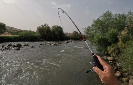 ליאור גכמן: “לא עוברות עשר דקות ואני מקבל את התקיפה הראשונה”