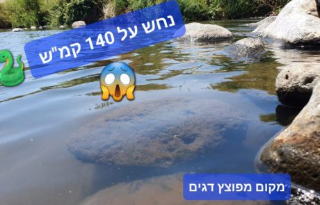 ליאור בן חיים: “נחש ב140 קמ”ש טס מולי בתוך נחל מפוצץ דגים גדולים A snake in the middle of fishing”