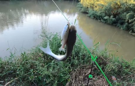 ליאור בן חיים: “עוד יום דיג מהנה ומרגיע בנחל מדהים”