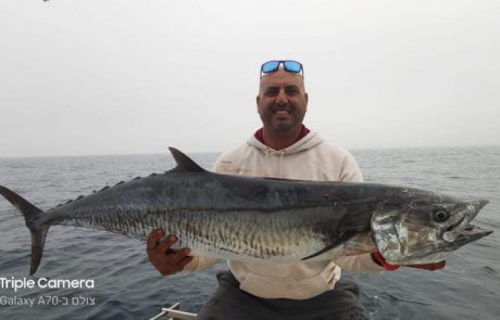 ראובן נעים: “טים אמבר הפינאלה לעונת הפלמודים”