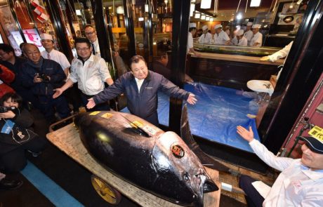 מכירת שיא ביפן – דג טונה נמכר ב 3.1 מיליון דולר