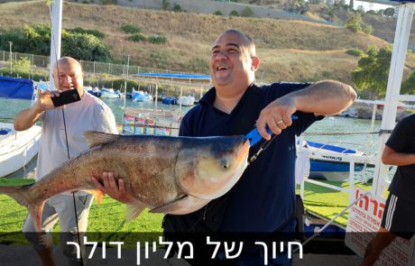 עמית משני דייגים: “תיעוד מטורף של נעילה על כסיף ענק בכנרת, זה אומנם קורה פעם ב…. ולגמרי במקרה.”