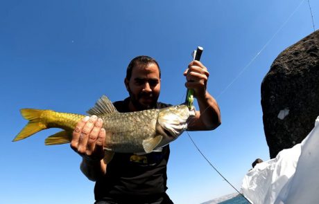 נפתלי ערוץ הדיג במים מתוקים: “איך נראה מלחמה בכנרת עם הביניות הגדולות התרגשות שיא”