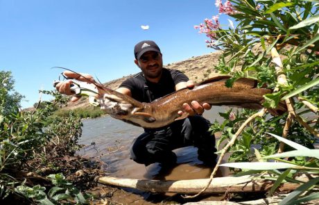 נפתלי: ערוץ הדייג במים מתוקים: “שישי שמח שבת שלום וסופ”ש נפלא חברים”