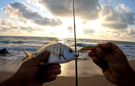נפתלי ערוץ הדיג במים מתוקים: “שאני הולך לחופשה חייב להוסיף קצת דיג לנשמה”