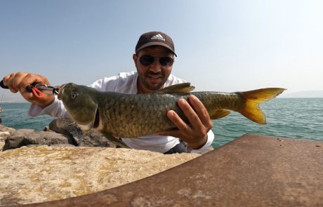 נפתלי:ערוץ הדיג במים מתוקים: “הראשון לתשיעי הגיע ואיתו נגמר החופש לתלמידים. ואני חוזר לשיגרה המבורכת.”