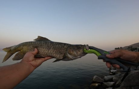 נפתלי: ערוץ הדיג במים מתוקים: “לא יום חזק במיוחד אבל מפלצת אחת מלמדת אותנו שיעור חשוב בדיג”