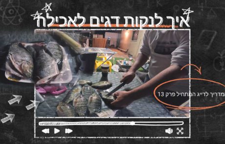 נפתלי ערוץ הדיג במים מתוקים: “מדריך – איך לנקות דגים לאכילה”