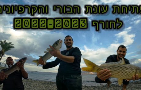 נפתלי ערוץ הדיג במים מתוקים: ” נלחם עם המפלצת ויוצא בורי ענק שפותח את עונת הבורי בכנרת נשקל 2,300 .”