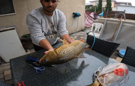 נפתלי ערוץ הדיג במים מתוקים: “תפסתם קרפיון גדול ולא יודעים איך להיתעסק איתו הסרטון הזה עבורכם”