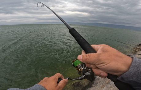 נפתלי ערוץ הדיג במים מתוקים: “יום פנוי ואני איך לא מבלה אותו בכנרת בדיג”