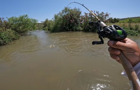 נפתלי ערוץ הדיג במים מתוקים: “הפעם לירדן ההררי שמשנה שעברה לא ביקרתי בו”