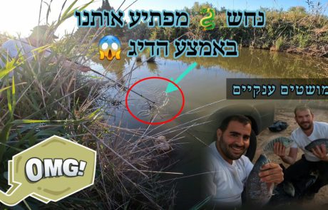 נפתלי ערוץ הדיג במים מתוקים: “מאז הפעם האחרונה שההיתי בנקודה אנינ חולם על מושטים ענקיים כל לילה.”