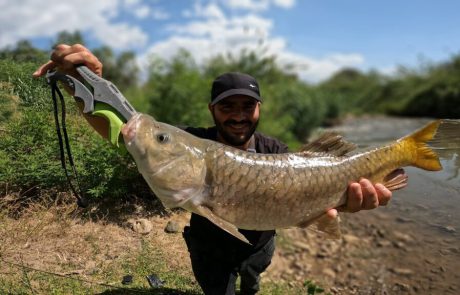 נפתלי ערוץ הדיג במים מתוקים: “אחריי קרב רציני יוצאת לה ביניפלצת ושוברת את השיא של הכנרת אפילו”