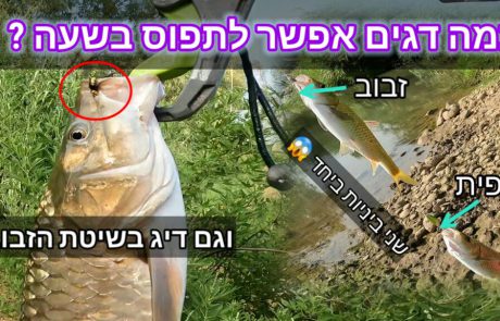 נפתלי ערוץ הדיג במים מתוקים: “סשן שקיעה מדהים בנהר הכי יפה בארץ נהר הירדן”