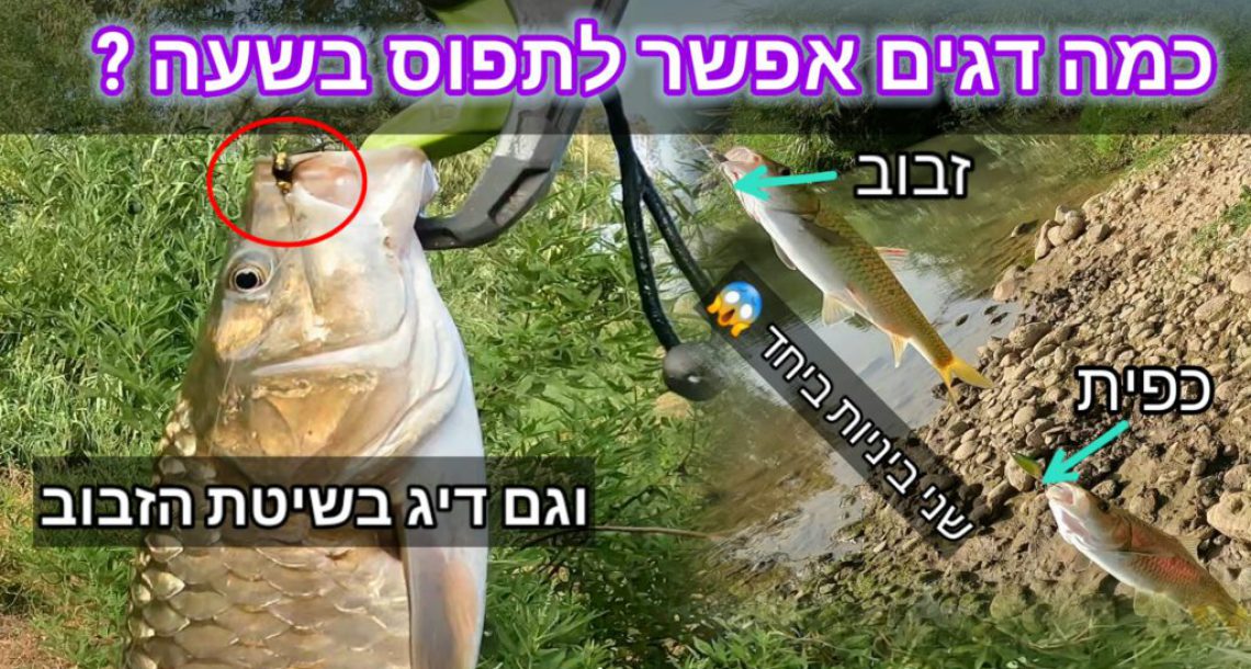 נפתלי ערוץ הדיג במים מתוקים: “סשן שקיעה מדהים בנהר הכי יפה בארץ נהר הירדן”