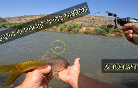 נפתלי ערוץ הדיג במים מתקים: “סשן דיג בהררי”