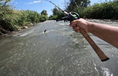 נפתלי ערוץ הדיג במים מתוקים: “עוד טיול באזור נוסף של נהר הירדן”
