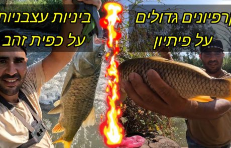 נפתלי ערוץ הדיג במים מתוקים: “כמה דקות עוברות ויש נעילה ראשונה וואו משהו גדול עצבני”