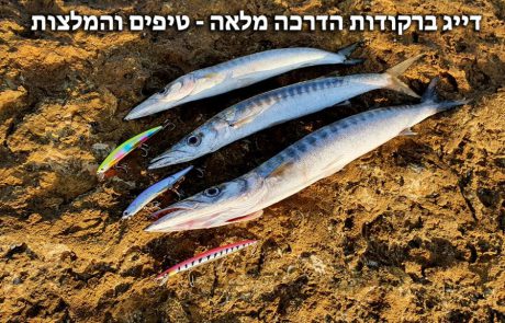 FISHINGADDICTS :”דיג ברקודות – הדרכה מלאה איך דגים ברקודות. המלצות טיפים ודמויים מומלצים – Barracuda fishing”