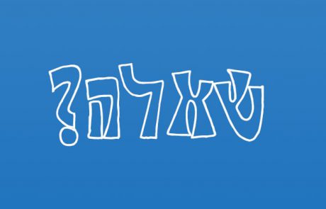 וינשטיין מאיר: “האם אפשרי לבצע דייג בולונז עם חכת זרזור ודמויים?”